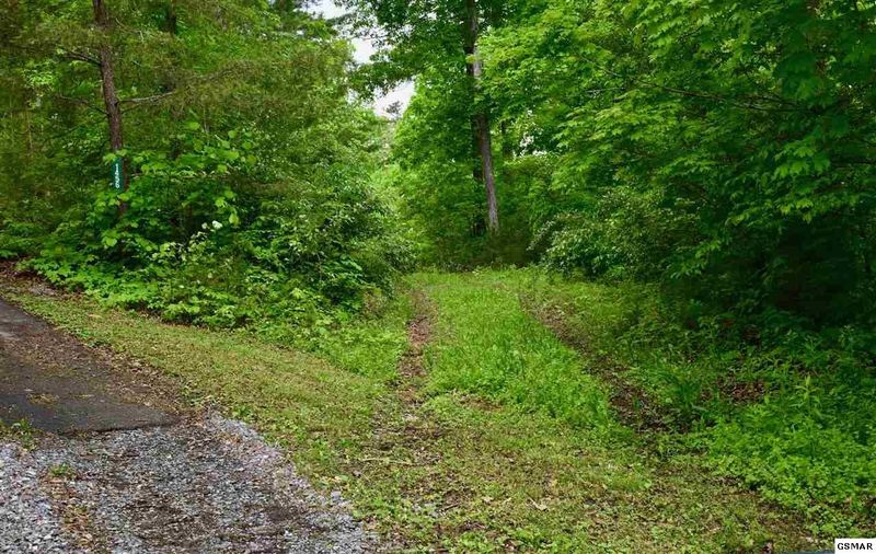 0 Chapman Hw Lot NA&4, Sevierville, TN 37862