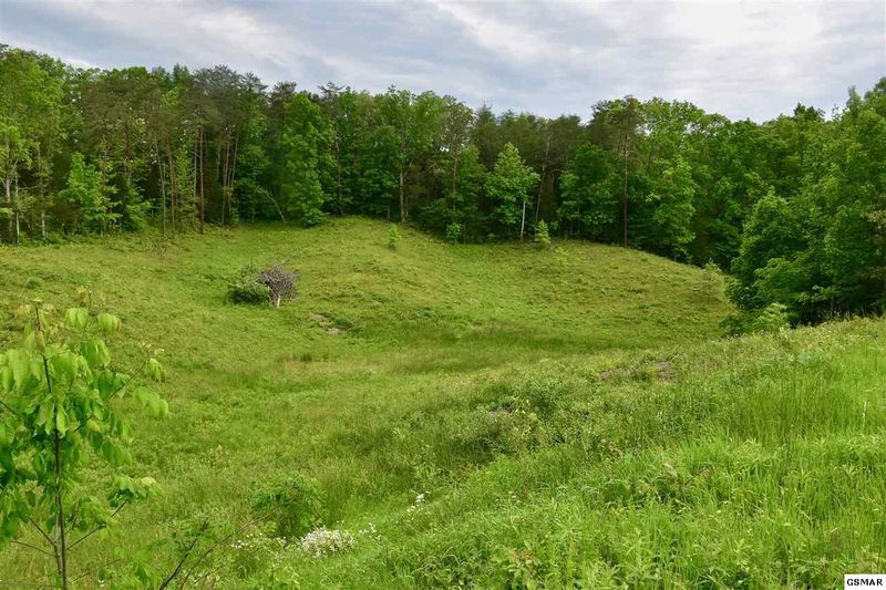 0 Chapman Hw Lot NA&4, Sevierville, TN 37862
