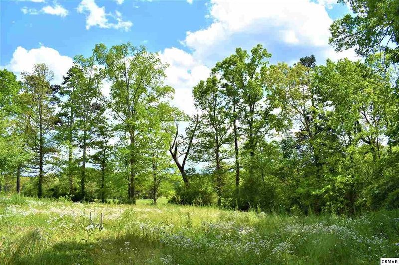 1390 Willow Creek Ln, Sevierville, TN 37876