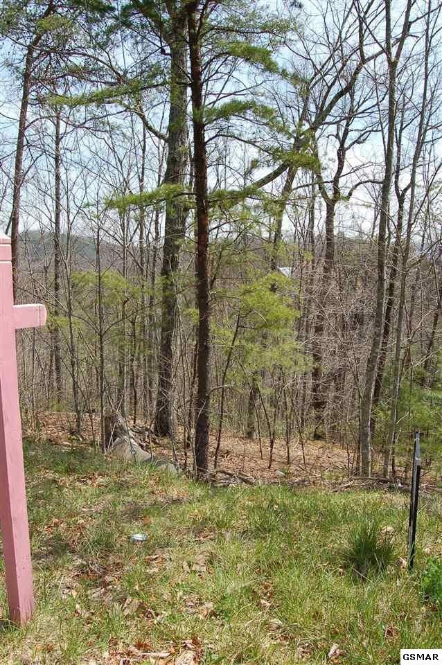 182 Chamberlain Ln Lot 18B-2, Sevierville, TN 37862