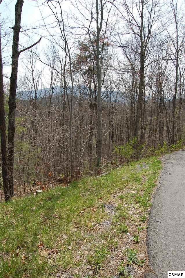 181 Chamberlain Ln Lot 18&B1, Sevierville, TN 37862