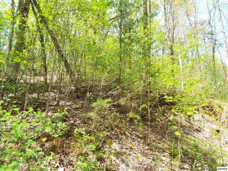 0 Hills Ln Lot 3A&B&C&D, Sevierville, TN 37876