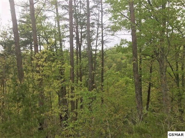 31 Laughing Pines Ln Lot 31, Sevierville, TN 37862