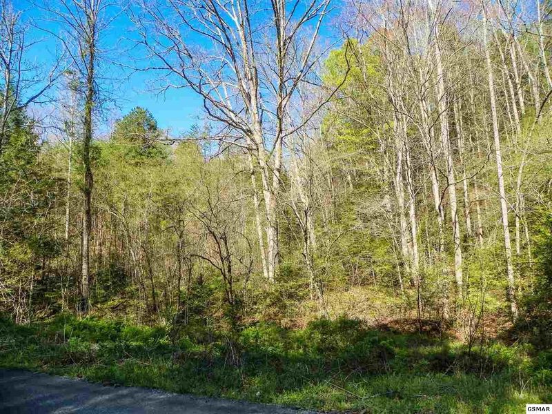 20 Licking Spring Way Lot 20, Sevierville, TN 37876