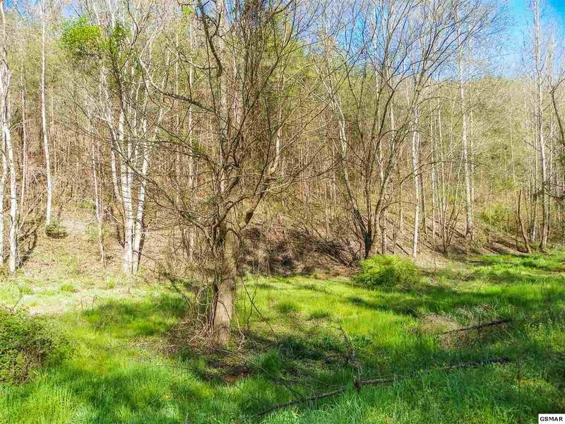 20 Licking Spring Way Lot 20, Sevierville, TN 37876