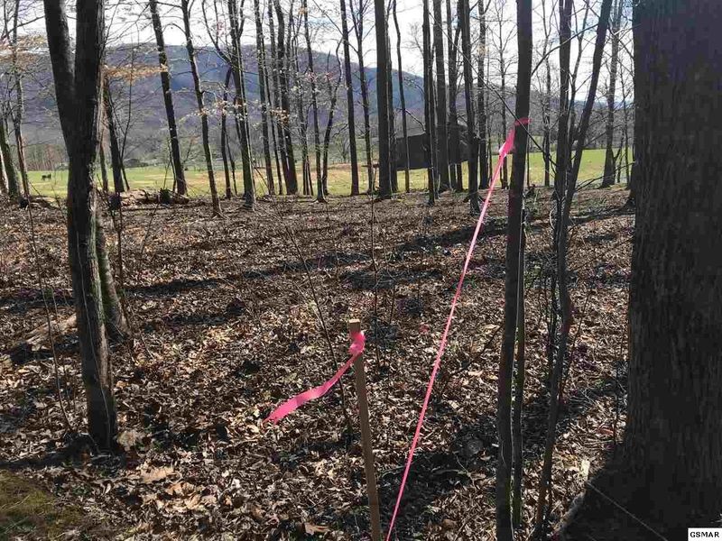 2 Ownby Rd Lot 2, Sevierville, TN 37862