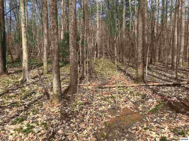 2 Ownby Rd Lot 2, Sevierville, TN 37862