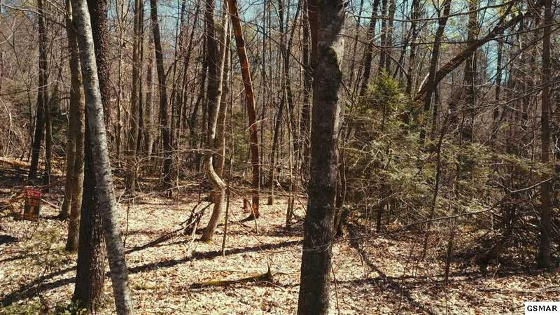 2 Ownby Rd Lot 2, Sevierville, TN 37862