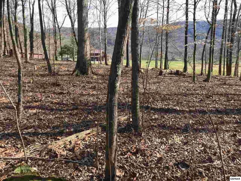 2 Ownby Rd Lot 2, Sevierville, TN 37862