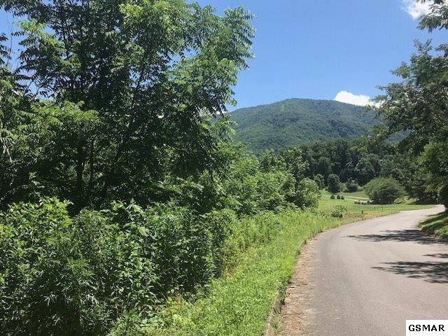 66 Clear Valley Dr Lot 66, Sevierville, TN 37862