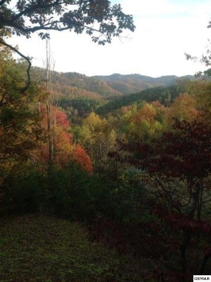 0 Olde Tyme Way Lot 4, Sevierville, TN 37862