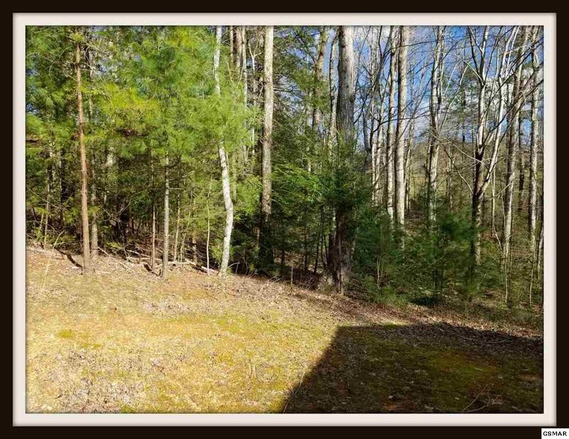 4120 Mae Ln, Sevierville, TN 37862