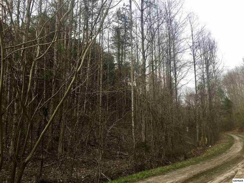 12 Cody View Way Lot 12, Sevierville, TN 37876
