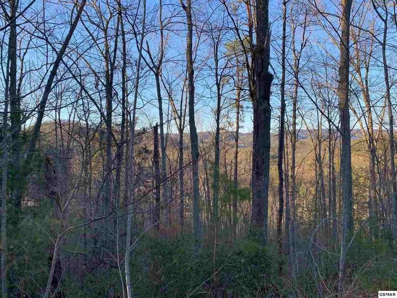 66 Whetstone Rd Lot 66, Sevierville, TN 37862