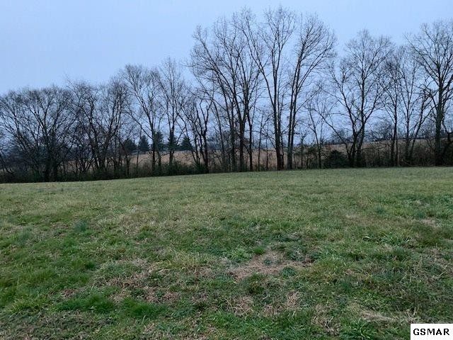 12 Rippling Waters Cir Lot 12, Sevierville, TN 37876