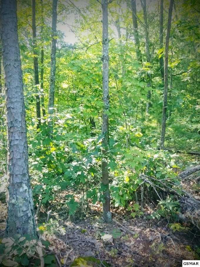 3334 Mountain Trail Ln Lot 34, Sevierville, TN 37876