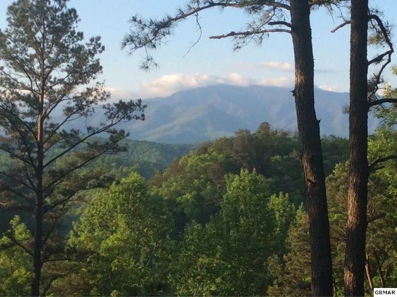 2251 Upper Middle Creek Rd #ADOHICABIN21, Sevierville, TN 37876