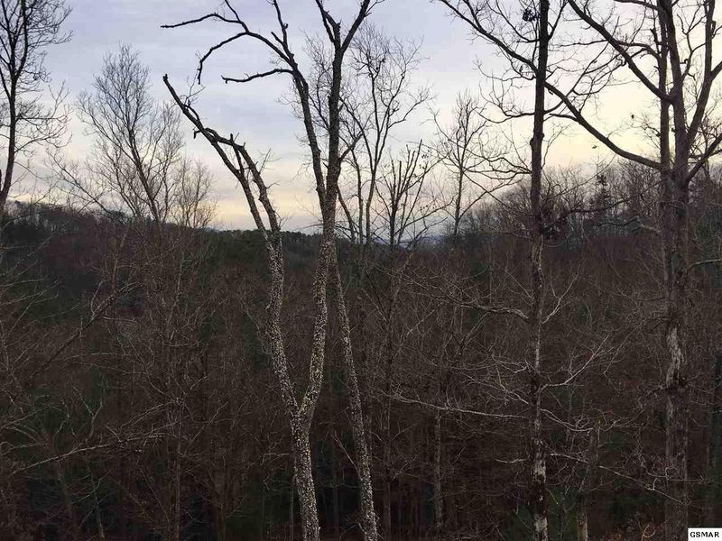 4130 Sleepy Valley Ln, Sevierville, TN 37876