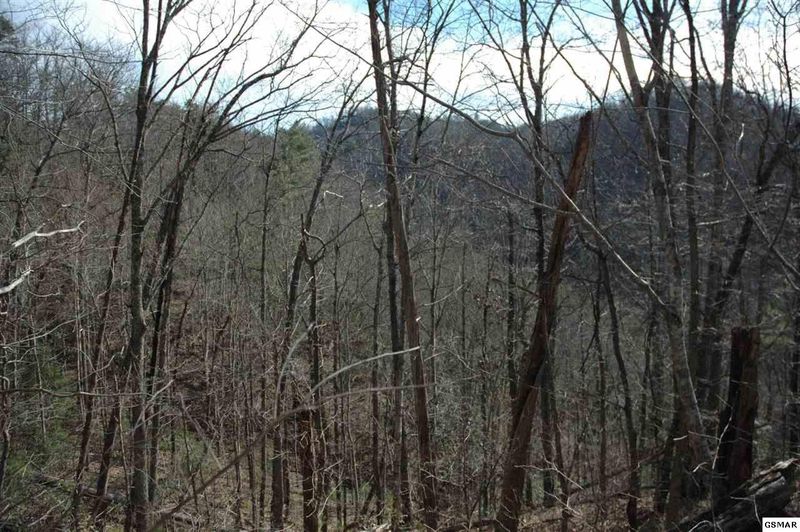 12 Headrick Lead Lot 12, Sevierville, TN 37862