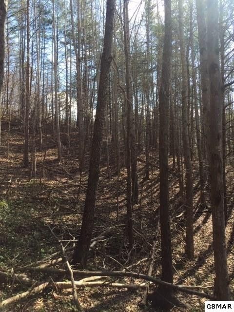0 Rocky Meadows Lot 17C, Sevierville, TN 37862