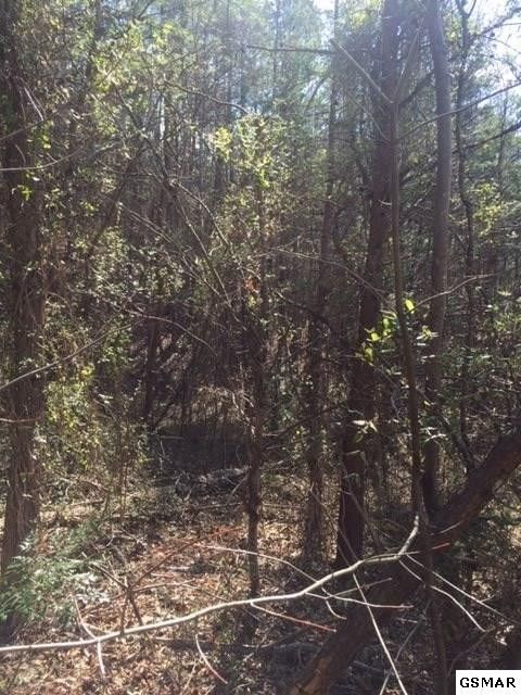 0 Rocky Meadows Lot 17C, Sevierville, TN 37862