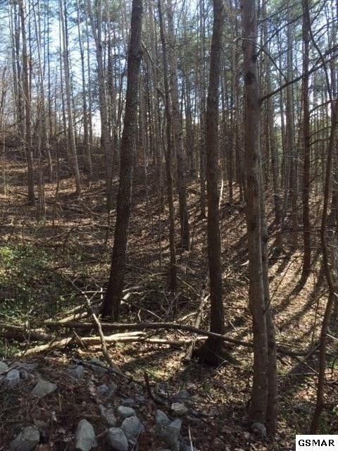 0 Rocky Meadows Lot 17C, Sevierville, TN 37862