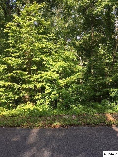 20 Red Bud Ln Lot 20, Sevierville, TN 37876