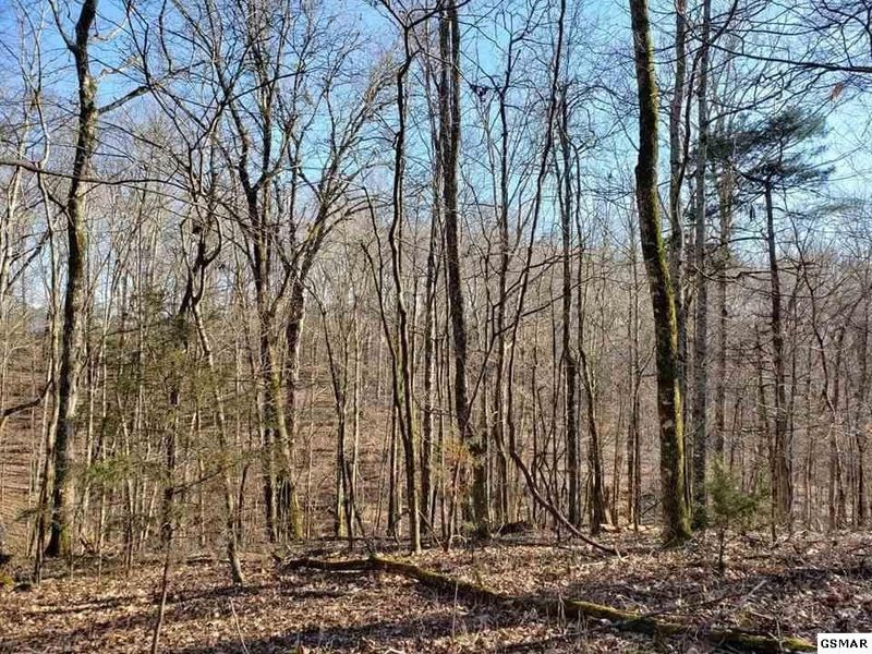 0 Red Bud Ln Lot 2&3&4, Sevierville, TN 37876