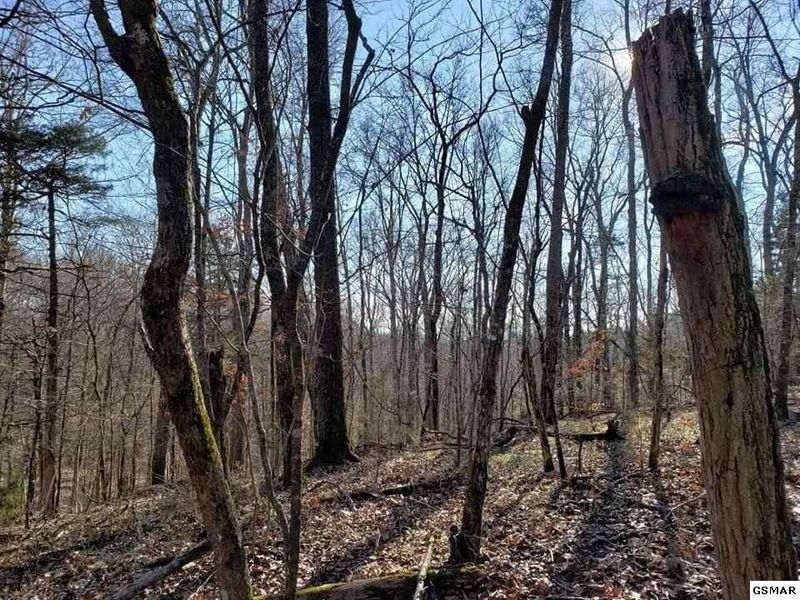 0 Red Bud Ln Lot 2&3&4, Sevierville, TN 37876