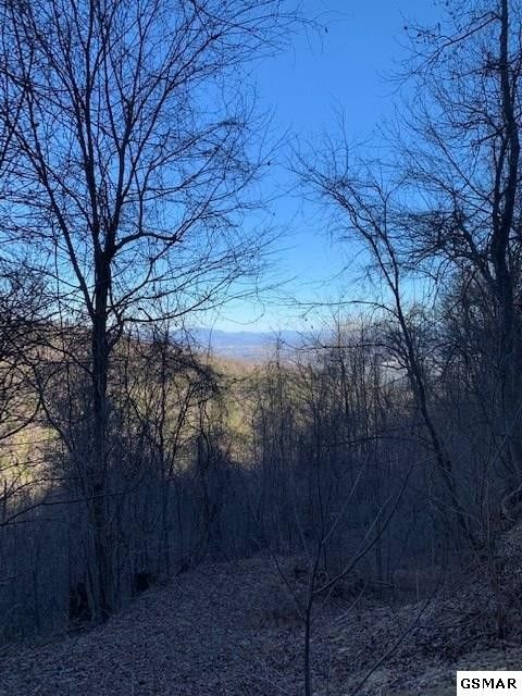 0 Bluff Mountain Rd Lot 10, Sevierville, TN 37876