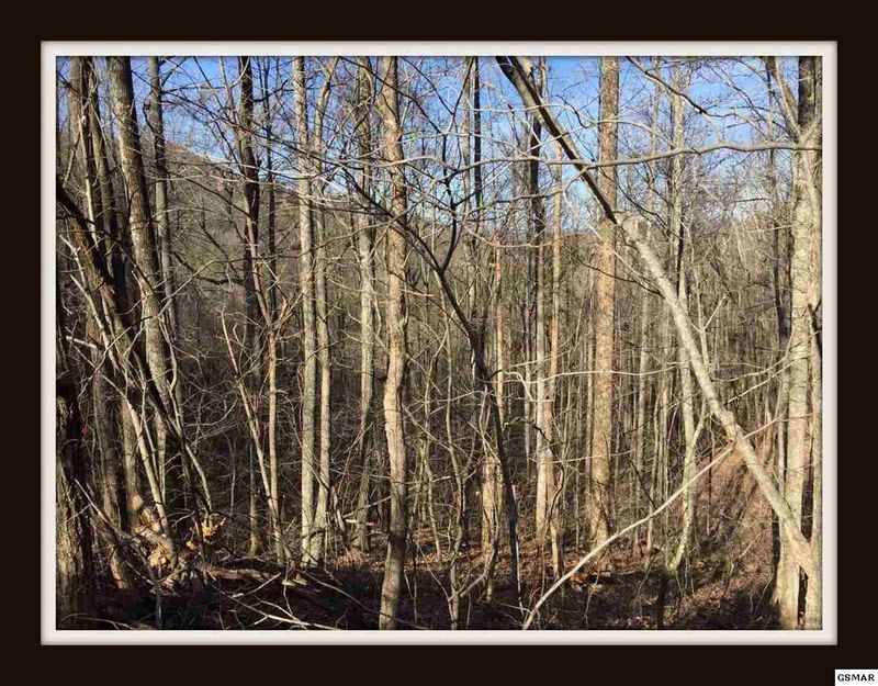 4336 Chamberlain Ln Lot 27B, Sevierville, TN 37862