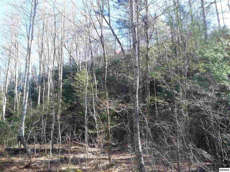 535 Sky View Dr Lot 0535, Sevierville, TN 37876
