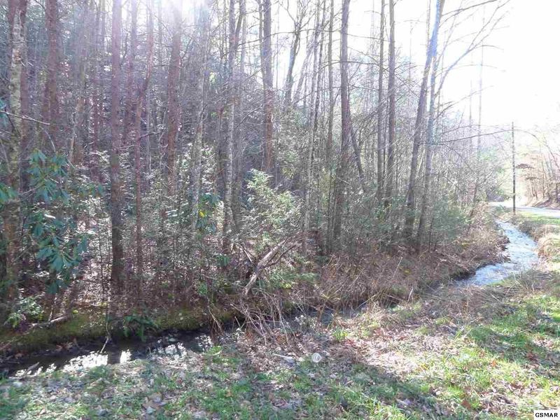 928 Silver Poplar Ln Lot 0928, Sevierville, TN 37876