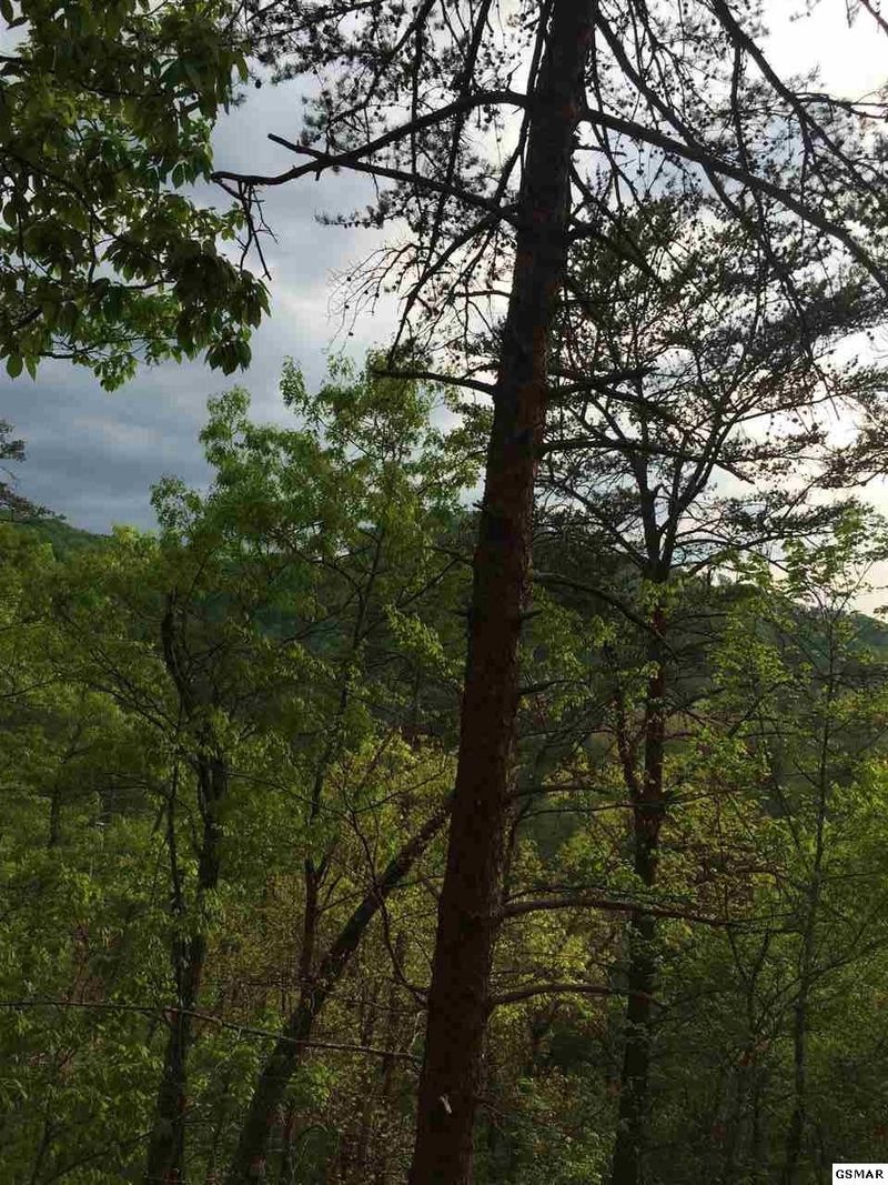 68 Parkside Retreat Way, Sevierville, TN 37862