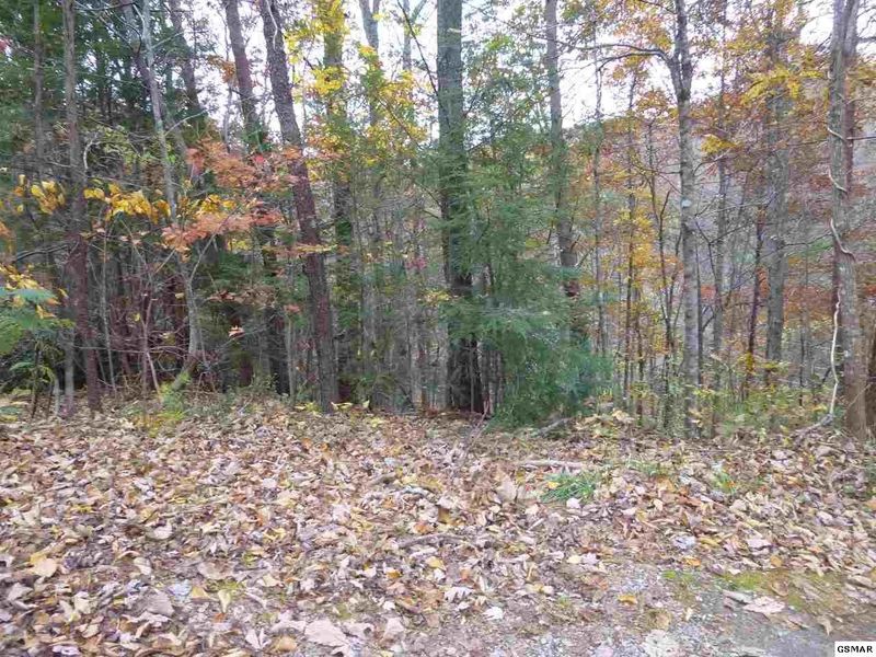 446 Iris Ct Lot 446, Sevierville, TN 37876