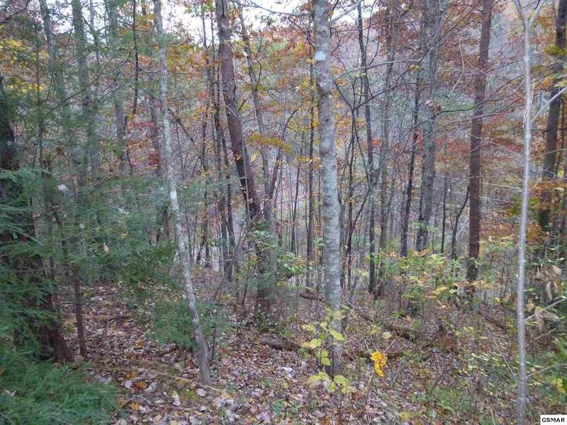 446 Iris Ct Lot 446, Sevierville, TN 37876