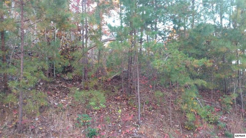 17 Treehouse Ln Lot 17, Sevierville, TN 37876