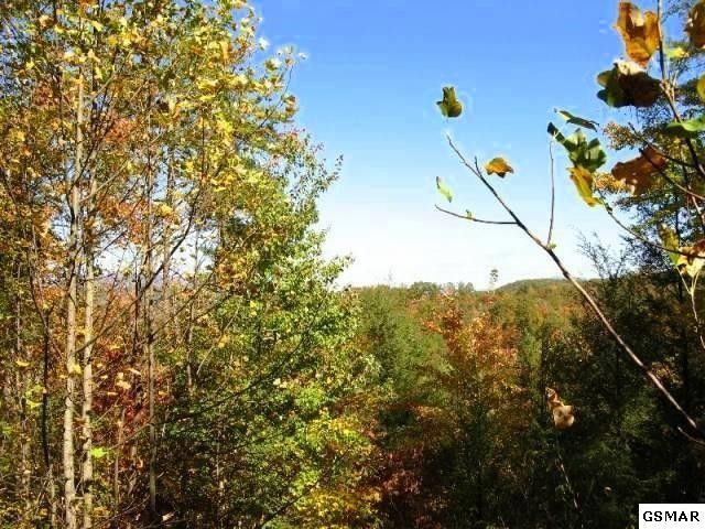 4136 Evans Chapel, Sevierville, TN 37876