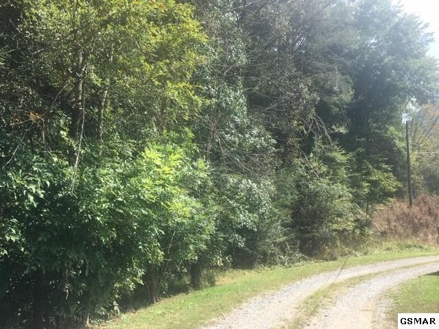 1 Waldens Creek Rd Lot 1, Sevierville, TN 37876