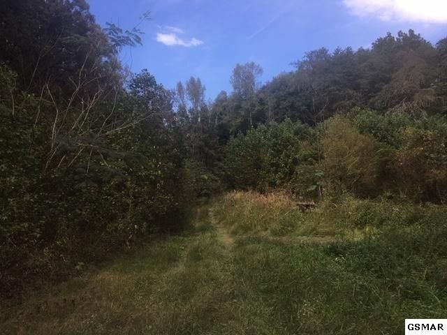 4 Waldens Creek Rd Lot 4, Sevierville, TN 37876