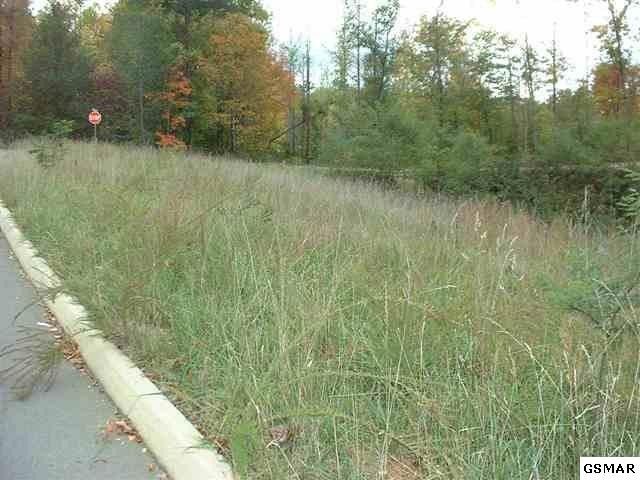 55 Mistletoe Loop Lot 55, Sevierville, TN 37876