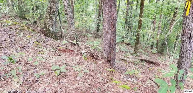 35 Dogwood Dr Lot 35, Sevierville, TN 37876