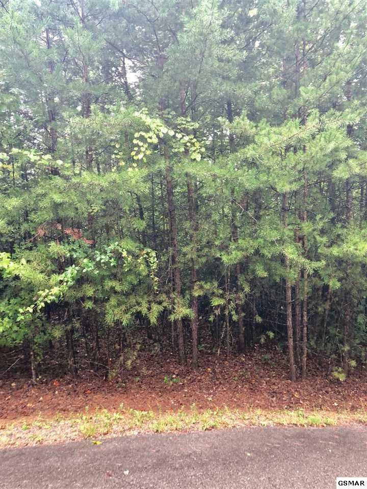 2719 Owls Cove Way Lot 86, Sevierville, TN 37862