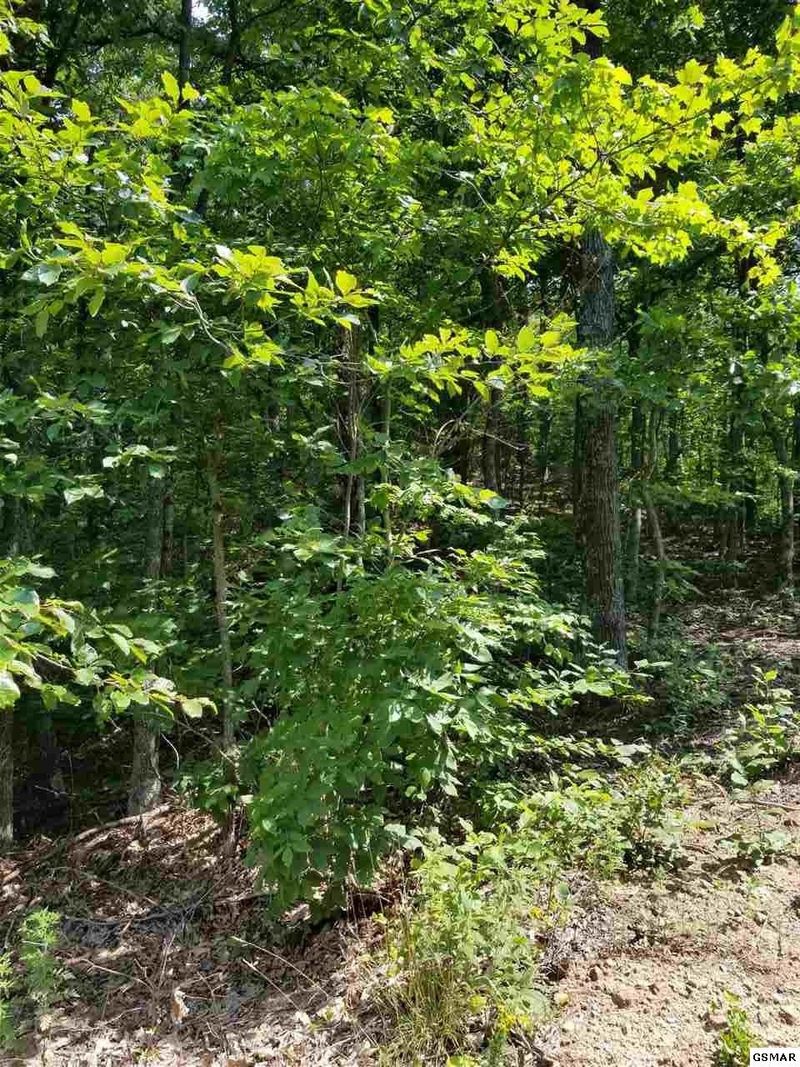 0 Alpine Dr 1 3a 3b Lot 1&3A&3B, Sevierville, TN 37876