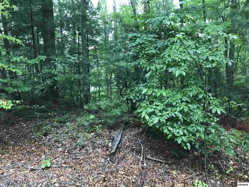 18 Clearview Cir Lot 18, Sevierville, TN 37862