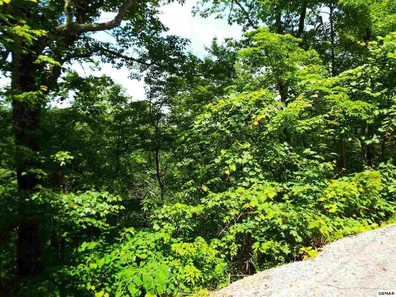 11 Wildcat Ridge Rd Lot 0011, Sevierville, TN 37862