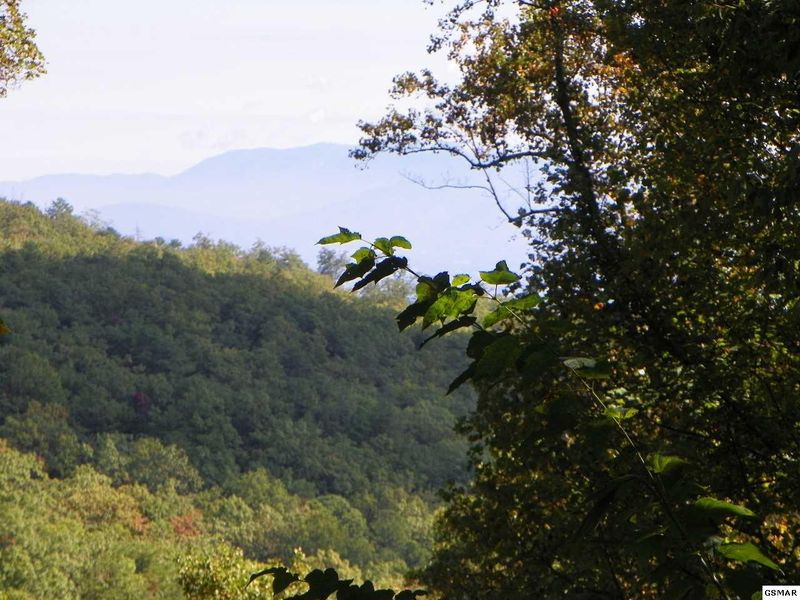 25402538 Bluff Mountain Rd Lot 7&8, Sevierville, TN 37876