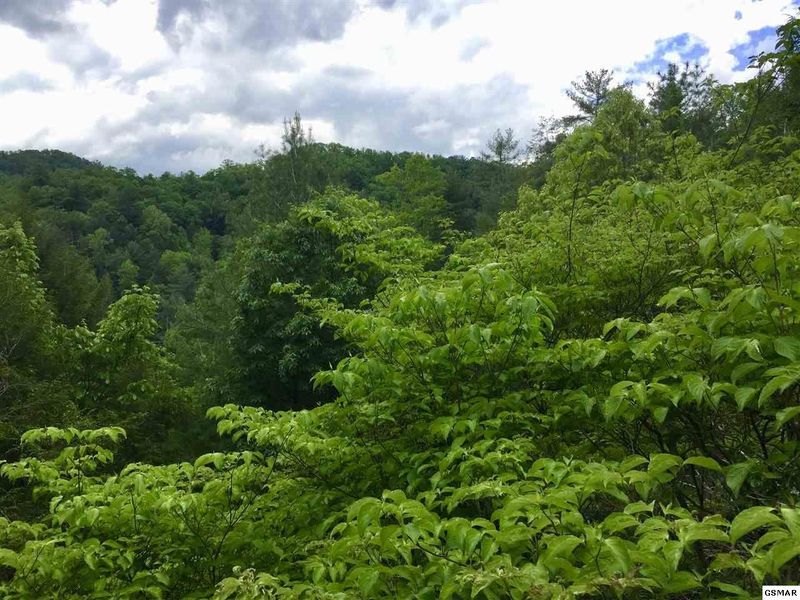 2409 Woodside Ln, Sevierville, TN 37862