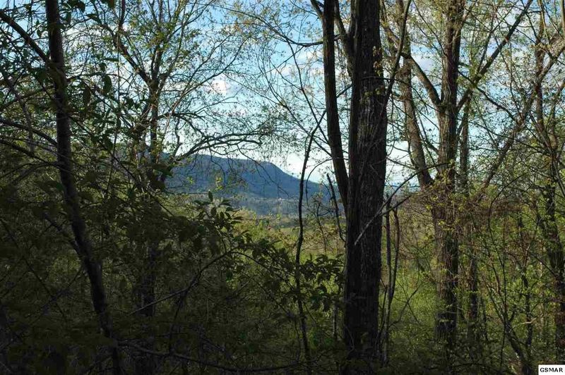 2 Hurlbut Way Lot 2B, Sevierville, TN 37862