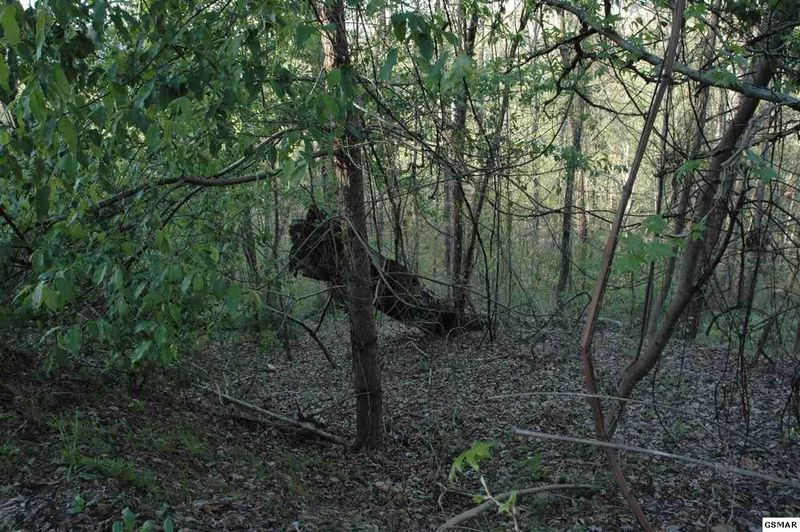 2 Hurlbut Way Lot 2B, Sevierville, TN 37862